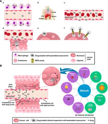 Overcoming Biological Barriers With Block Copolymers-Based Self-Assembled Nanocarriers. Recent Advances in Delivery of Anticancer Therapeutics